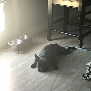 Meet your Posher, Lee